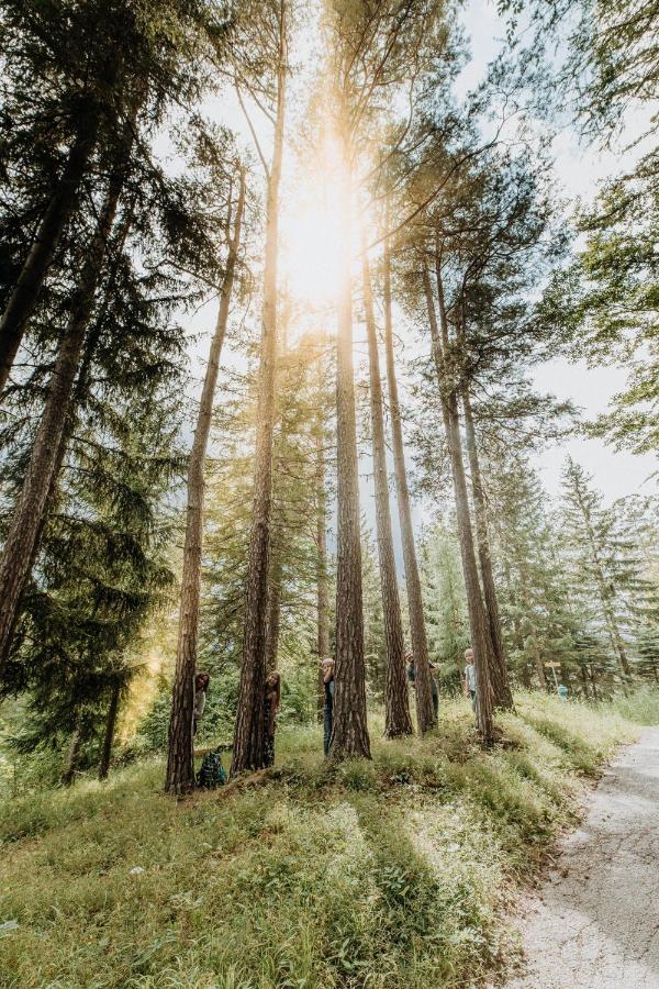 Der Loeffler Am Semmering Bed&Breakfast Экстерьер фото