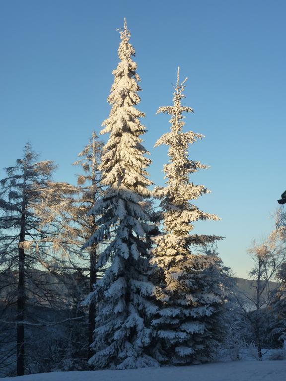 Der Loeffler Am Semmering Bed&Breakfast Экстерьер фото