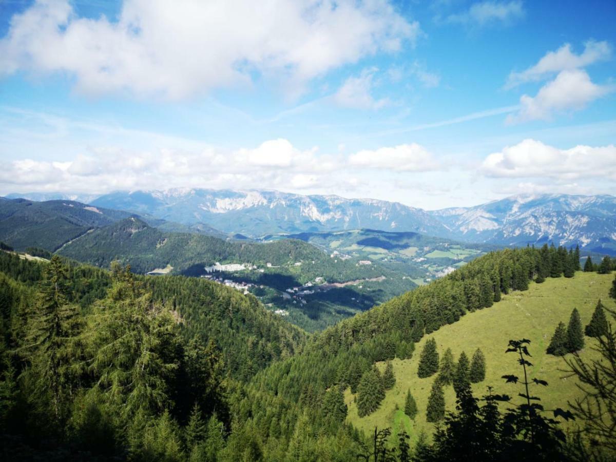 Der Loeffler Am Semmering Bed&Breakfast Экстерьер фото